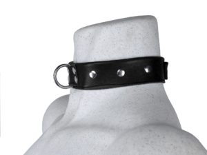 maximum-300x225 <strong>¡Descubre el collar de consideración en el BDSM!</strong>